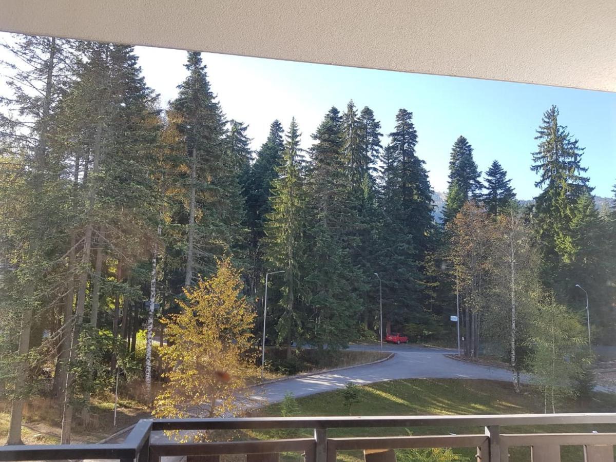 Apartments In Borovets Gardens Extérieur photo